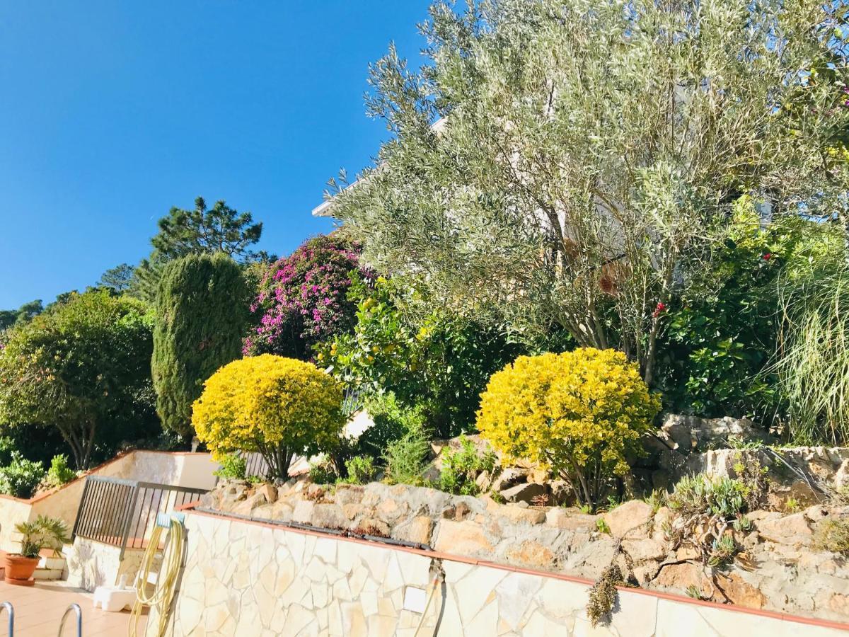 Mediterranean Villa Investingspain Sea View And Pool リョレート・デ・マル エクステリア 写真